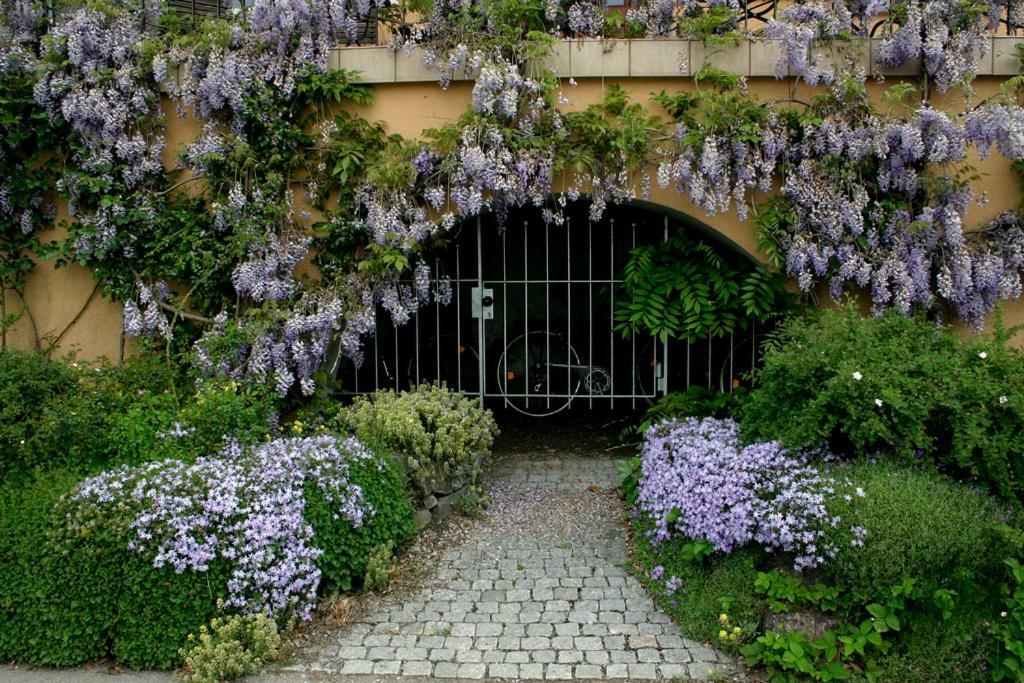 Villa Linke Am Bodensee 农嫩霍恩 外观 照片