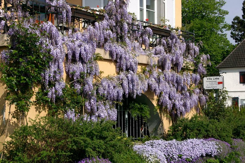 Villa Linke Am Bodensee 农嫩霍恩 外观 照片