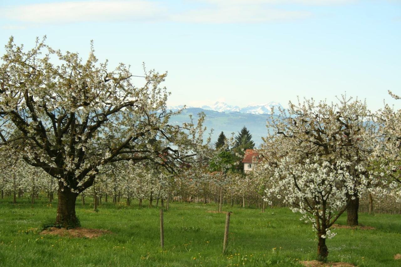 Villa Linke Am Bodensee 农嫩霍恩 外观 照片